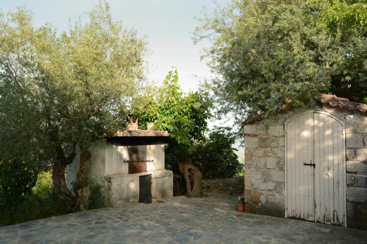 Pikouliánika Mistra Estates Villa The Vine מראה חיצוני תמונה