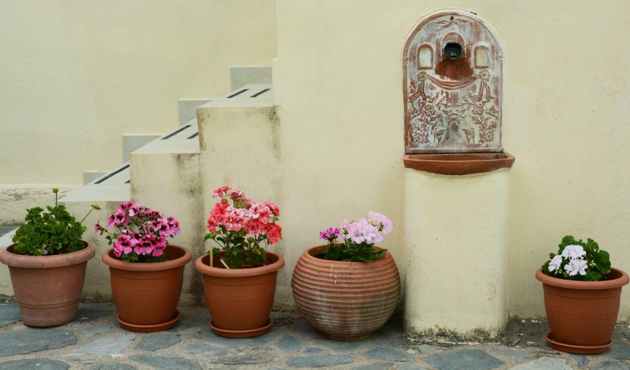 Pikouliánika Mistra Estates Villa The Vine מראה חיצוני תמונה